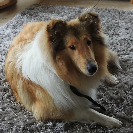 Inisean Ocean View 4*