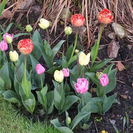 Bed and Breakfast Inisean Ocean View Dungloe