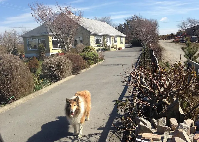 Bed & Breakfast Inisean Ocean View Dungloe