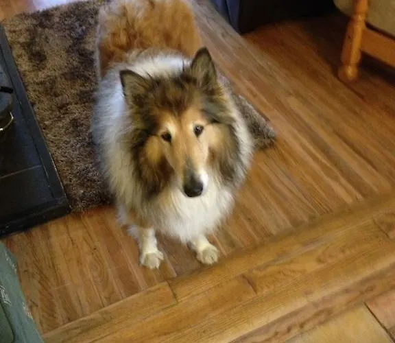 Bed & Breakfast Inisean Ocean View Dungloe