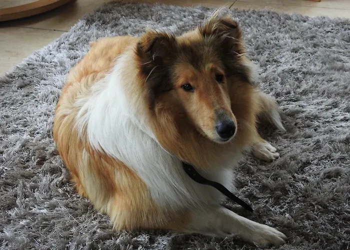 Inisean Ocean View 4*