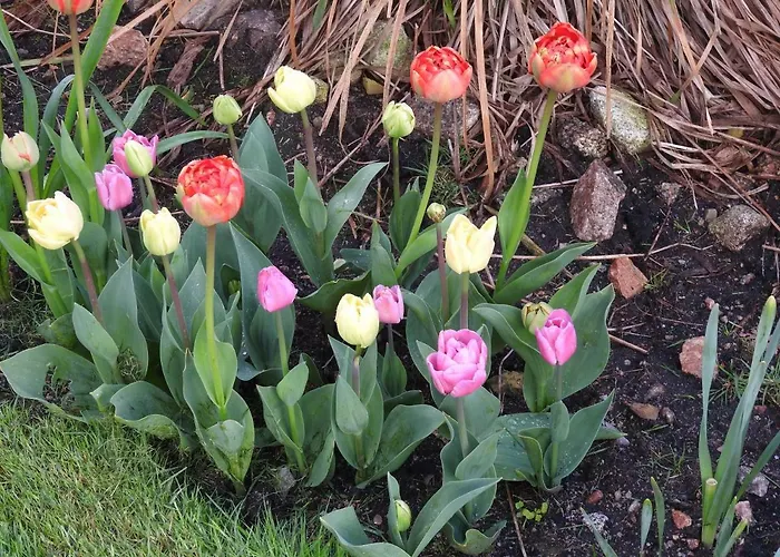 Bed & Breakfast Inisean Ocean View Dungloe